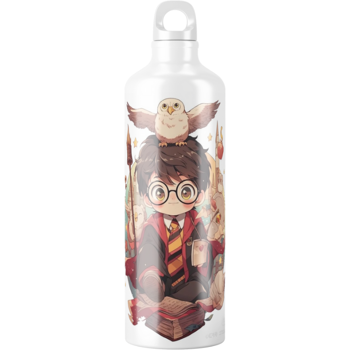 Gourde Harry potter