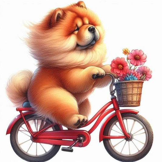 Coffret cadeau: Dessous de verre Chien à vélo
