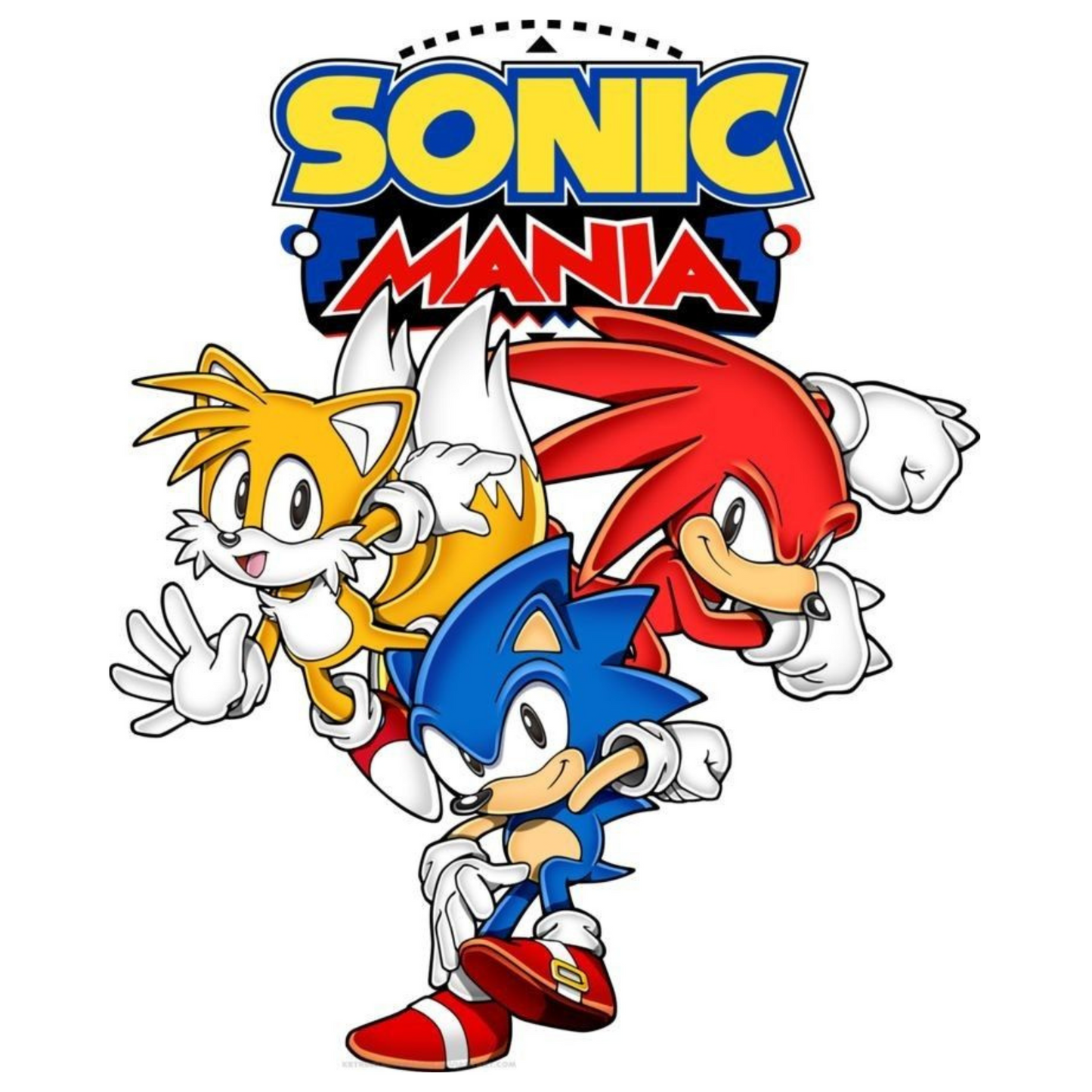 Gourde Sonic mania